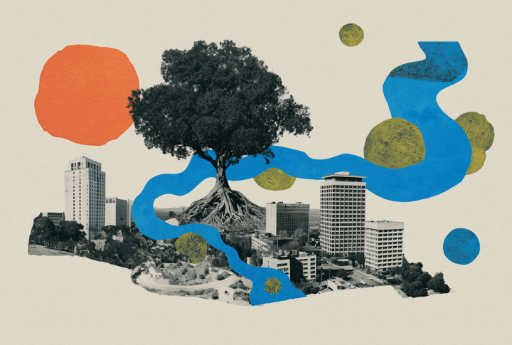 На пути к циркулярности и зеленой трансформации