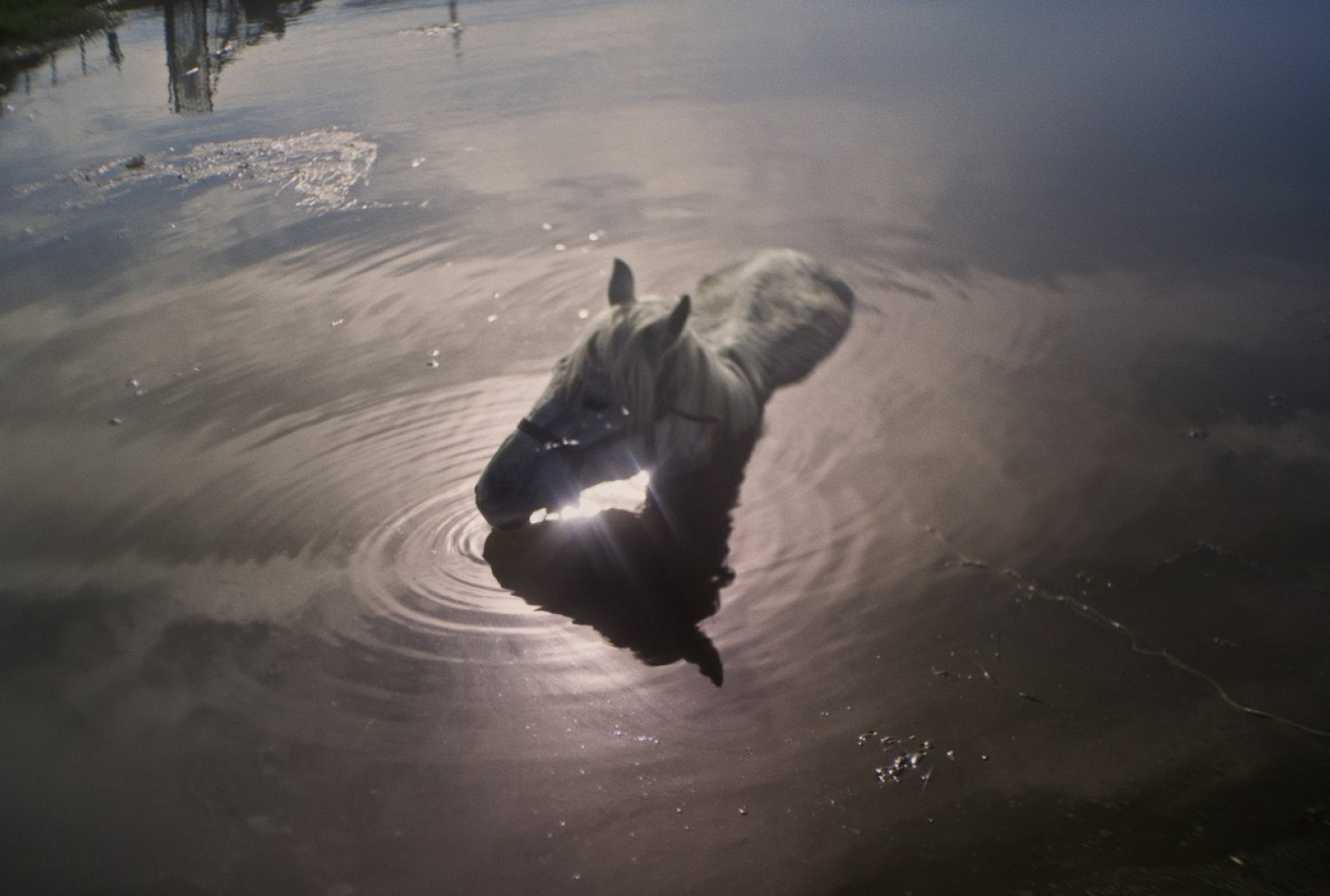 Inside the Dream of an Unfinished War: Armenian feature about Artsakh war at Berlinale