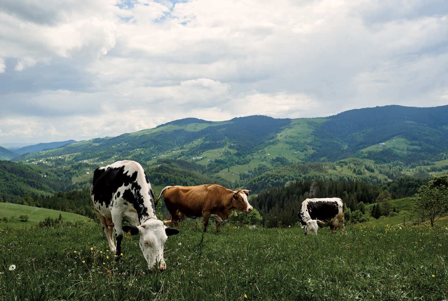Funding the Future of Agriculture: